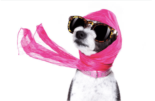 db8632_07f29c3993e644859121188be6e6318f_mv2